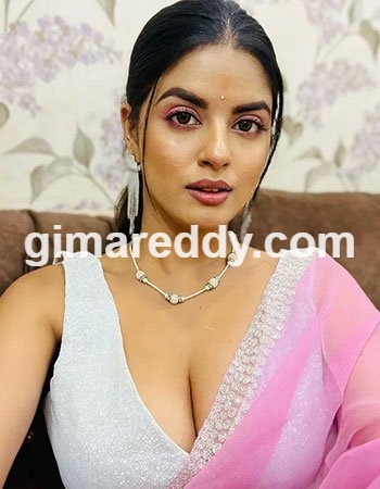 Ludhiana Call Girl service